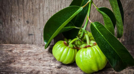 Some cons associated with garcinia cambogia