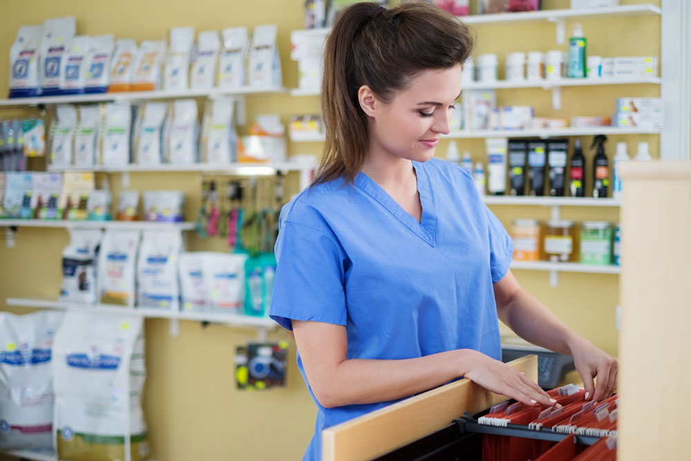 6 services offered by veterinary clinics